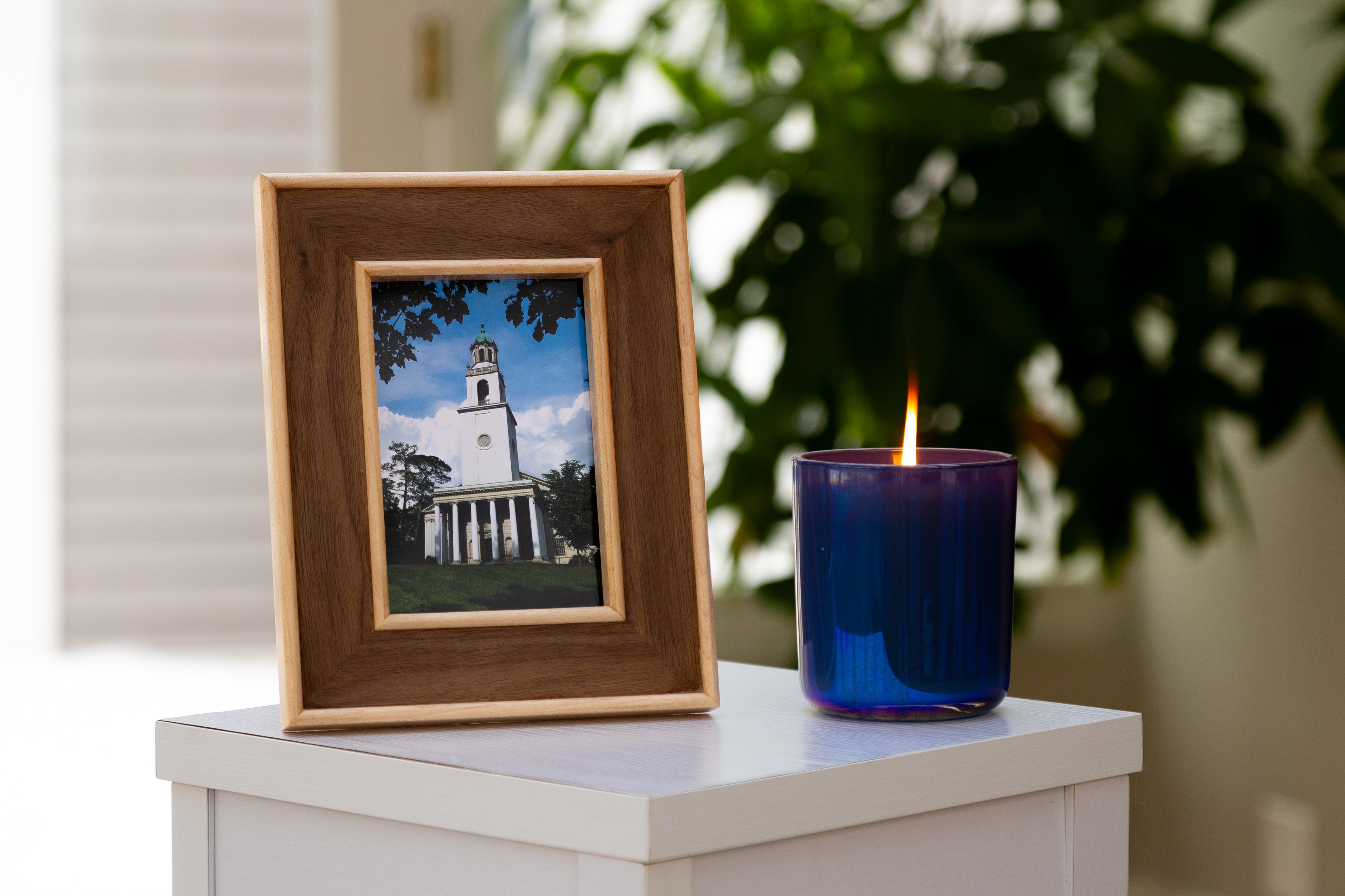 Walnut Picture Frame w/ Maple Trim